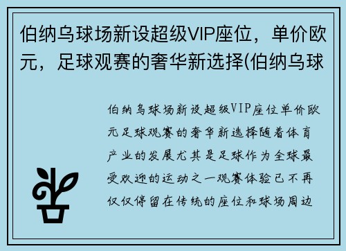 伯纳乌球场新设超级VIP座位，单价欧元，足球观赛的奢华新选择(伯纳乌球场tifo)